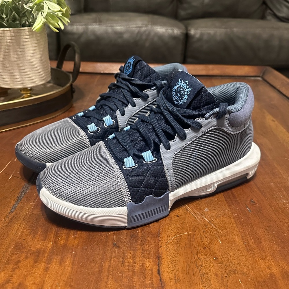 Nike Men's Navy LeBron Sneakers